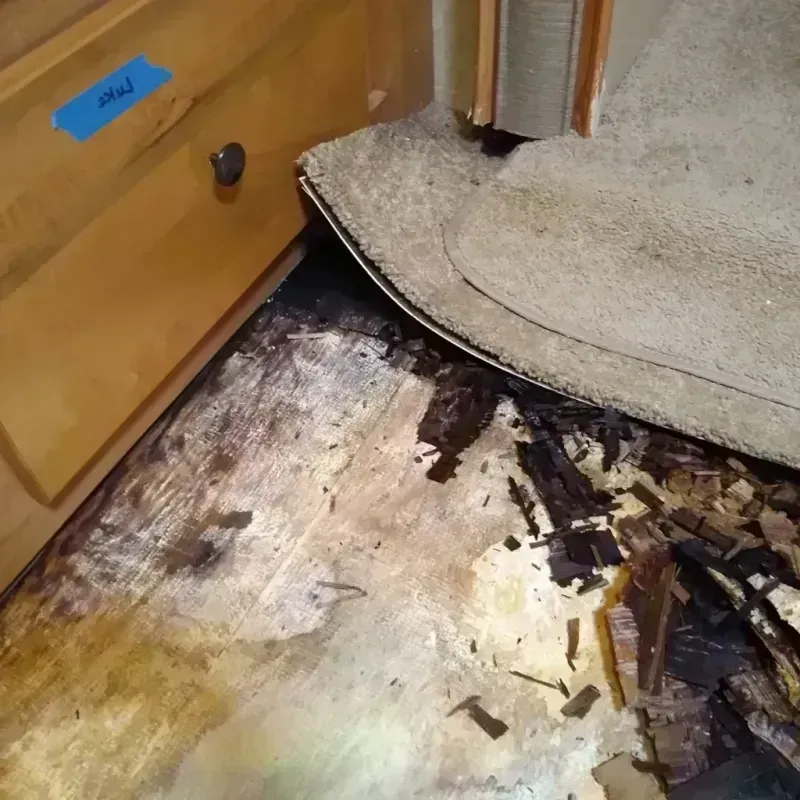 Wood Floor Water Damage in Warren County, OH